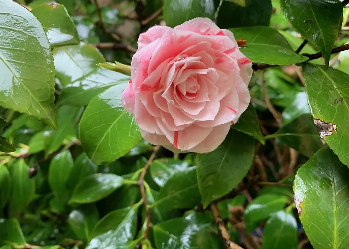 Casa Al Teatro Verona